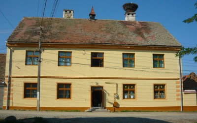 Raport anual asupra calității educației 2025_2026
